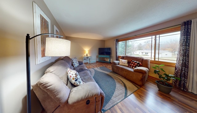 living room with hardwood / wood-style floors