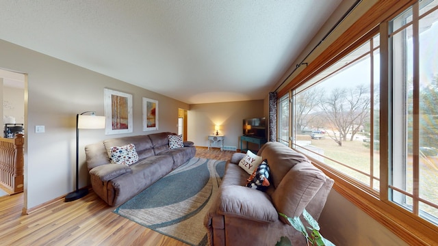 living room featuring light hardwood / wood-style flooring