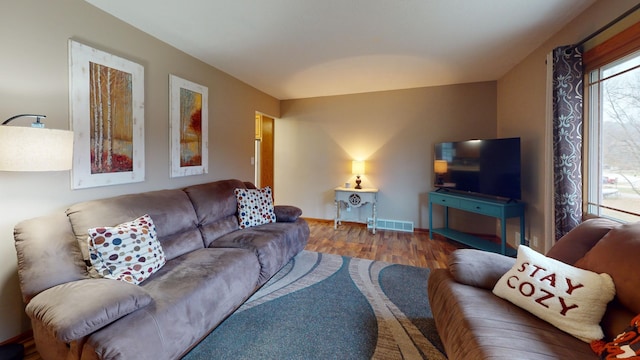 living room featuring wood-type flooring