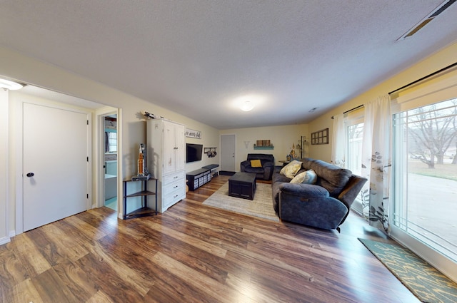 living room with a textured ceiling and hardwood / wood-style flooring