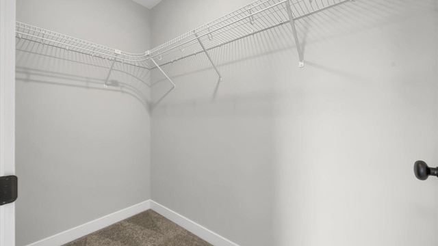 walk in closet with carpet