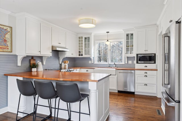 kitchen with white cabinetry, sink, dark hardwood / wood-style flooring, wooden counters, and appliances with stainless steel finishes