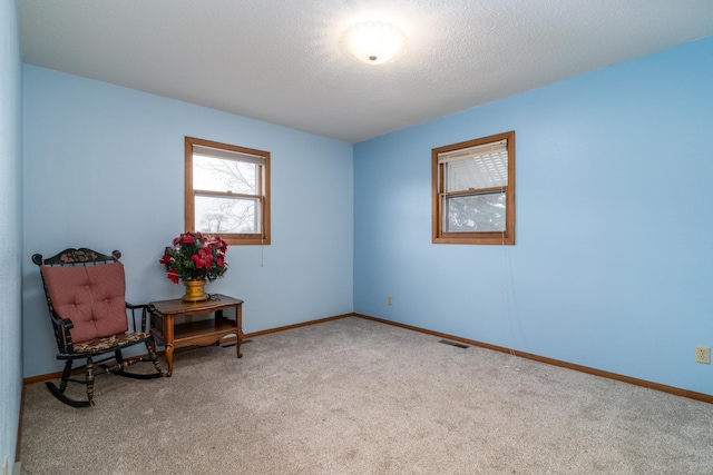 living area with carpet and a textured ceiling