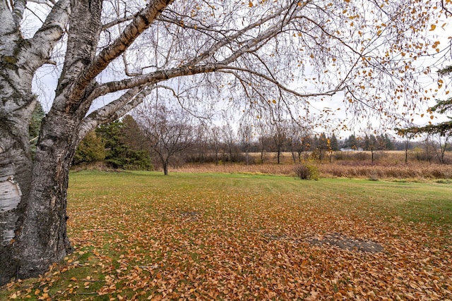 view of yard with a rural view