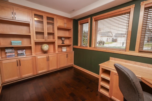 office with dark hardwood / wood-style flooring