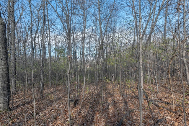 TBD 2nd St, Bluffton, MN 56518