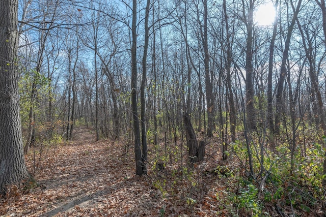 TBD 2nd St, Bluffton, MN 56518