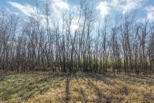 TBD 2nd St, Bluffton, MN 56518