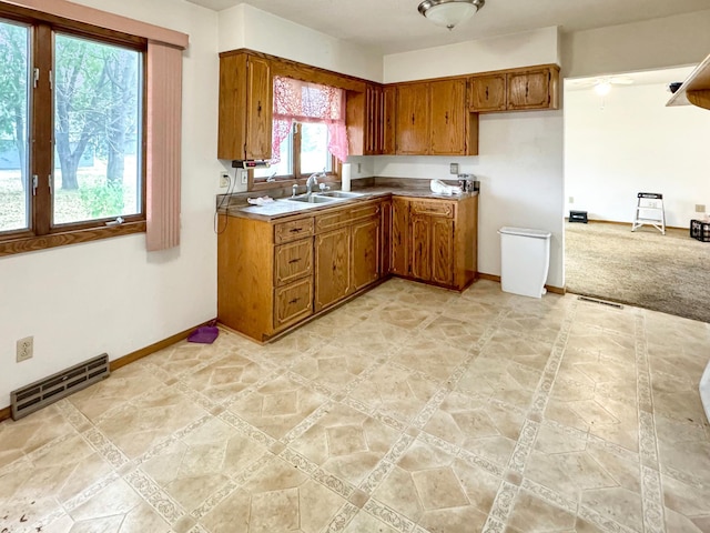 kitchen with sink