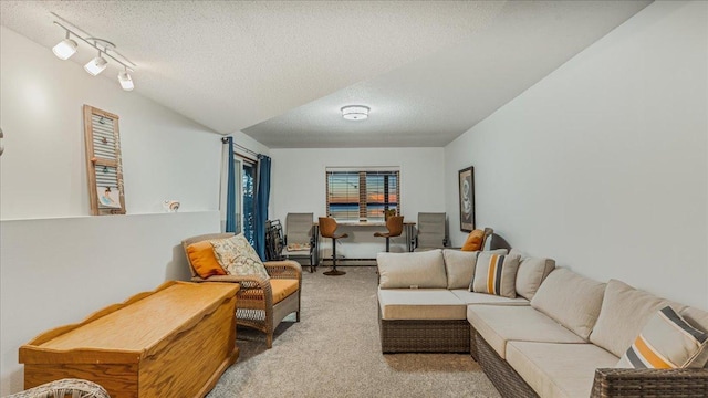 carpeted living room with a textured ceiling