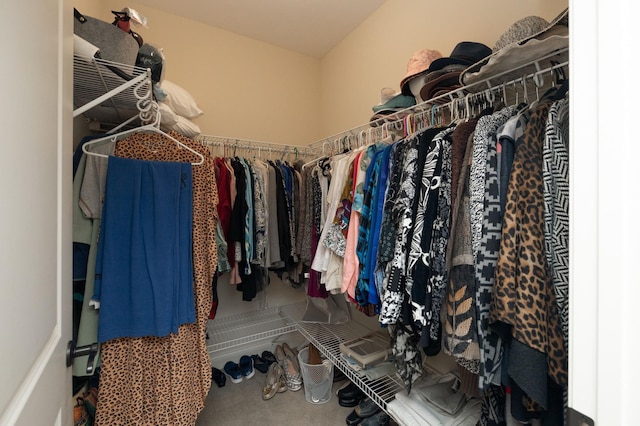 walk in closet featuring carpet floors