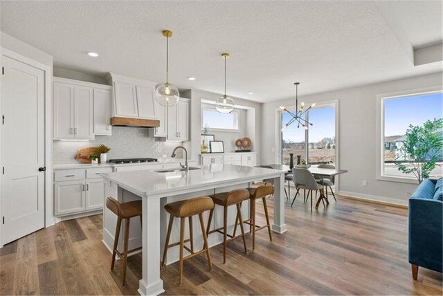 kitchen featuring white cabinetry, sink, hardwood / wood-style flooring, and a center island with sink