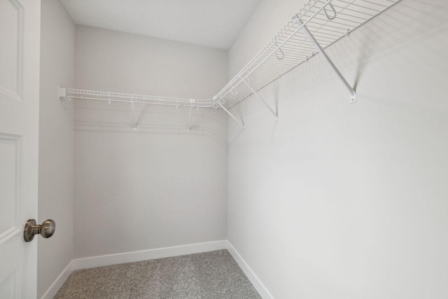 walk in closet with carpet flooring