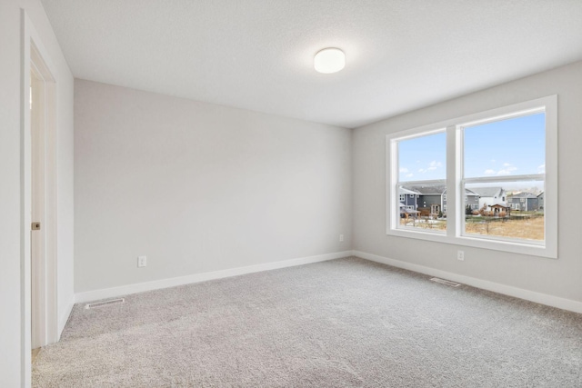 10191 Arrowwood Path, Woodbury, MN 55129 - unfurnished bedroom with carpet and baseboards