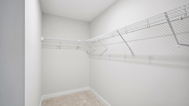 spacious closet with carpet floors