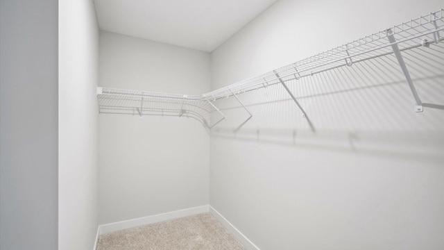 10238 Arrowwood Path, Woodbury, MN 55129 - walk in closet with carpet flooring