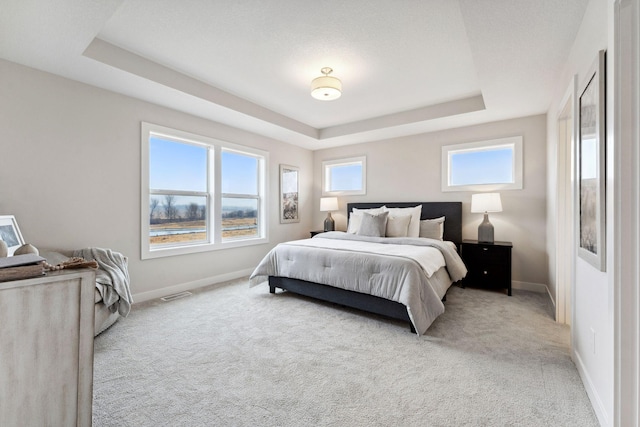 11728 35th St N, Lake Elmo, MN 55042 - bedroom featuring a raised ceiling, carpet, and baseboards