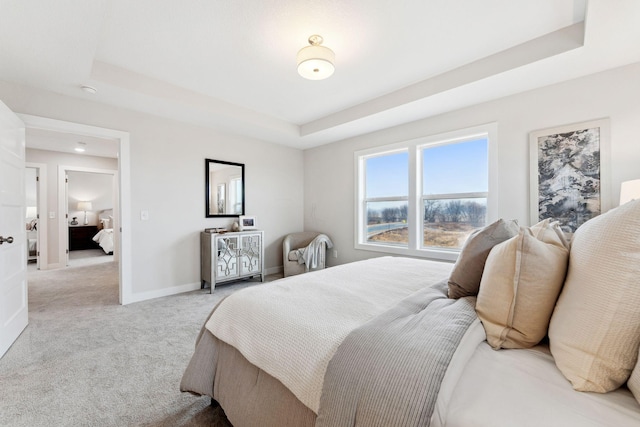 11728 35th St N, Lake Elmo, MN 55042 - bedroom with a tray ceiling, light colored carpet, and baseboards