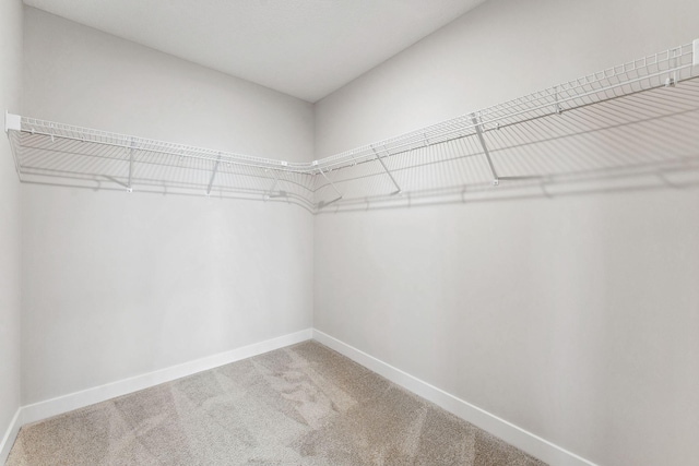 11728 35th St N, Lake Elmo, MN 55042 - spacious closet with carpet flooring