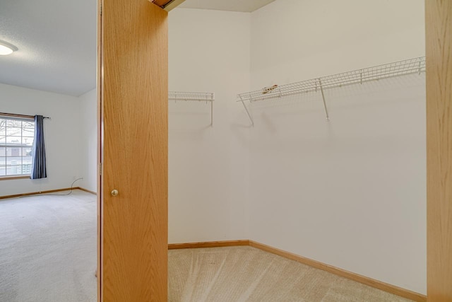 walk in closet with light colored carpet