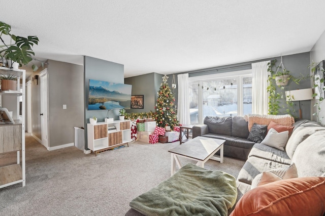 living room featuring carpet floors and a textured ceiling