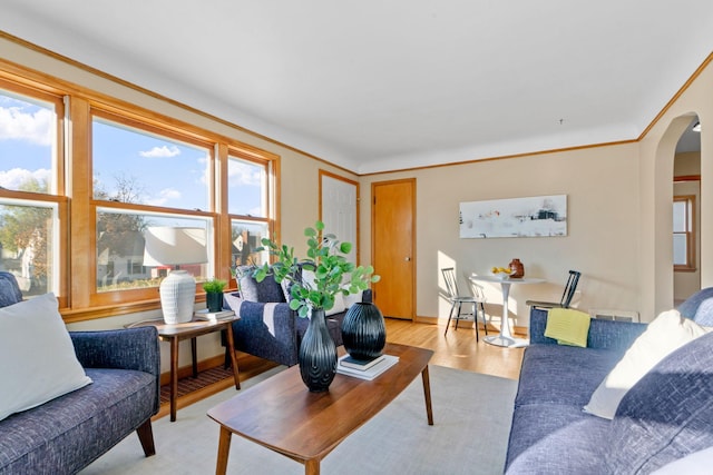 living room with light hardwood / wood-style floors, a healthy amount of sunlight, and crown molding