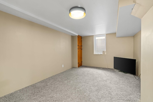 basement featuring carpet floors