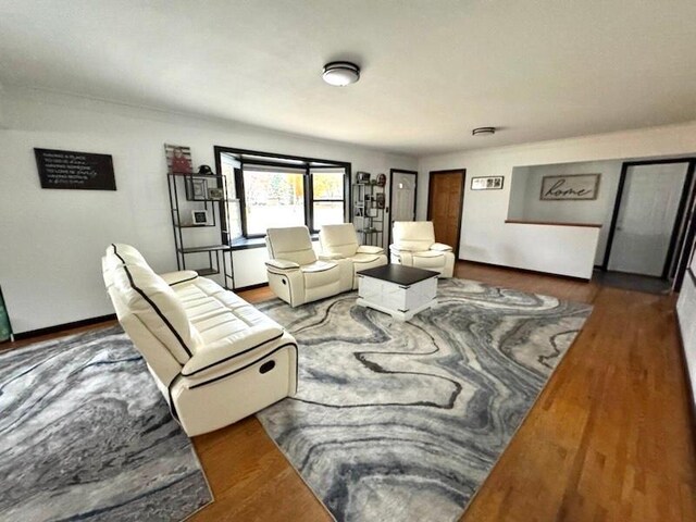 living room featuring wood-type flooring