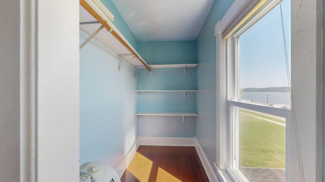 walk in closet featuring hardwood / wood-style floors