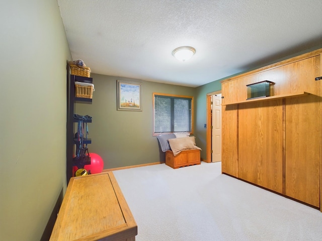 interior space featuring carpet, a textured ceiling, and a closet