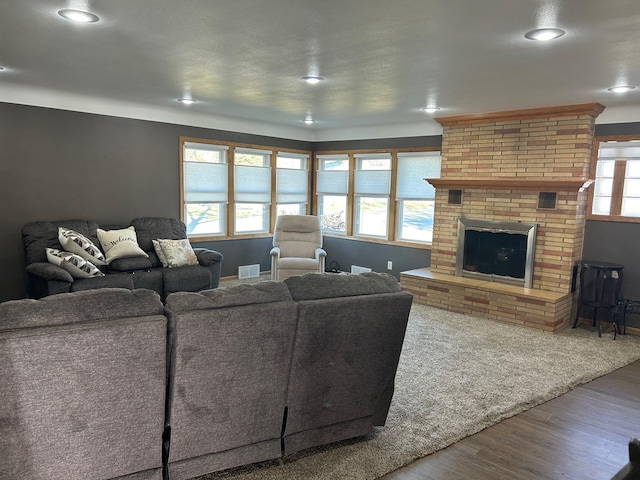 living room with a fireplace and wood-type flooring