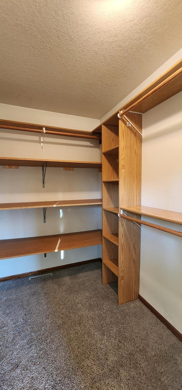 walk in closet with carpet floors