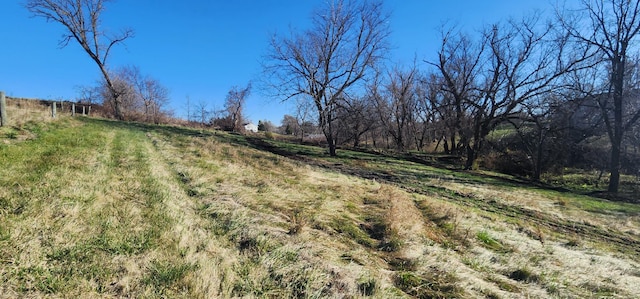 view of yard with a rural view