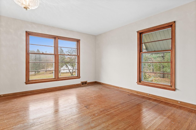 spare room with light hardwood / wood-style flooring and a healthy amount of sunlight