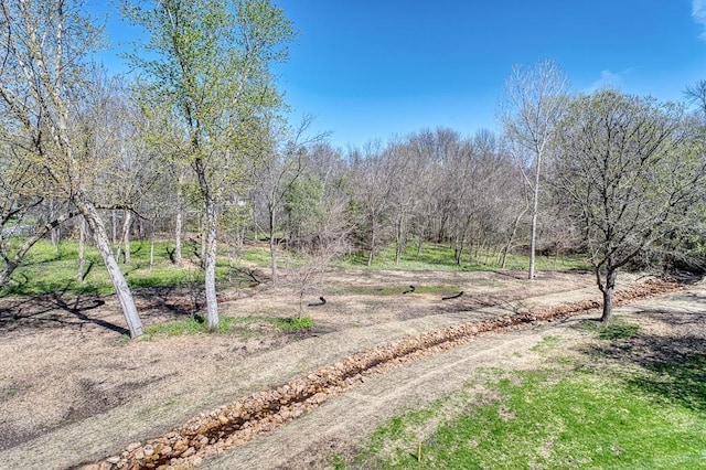 2195 Watertown Rd, Orono, MN 55356 - photo 8