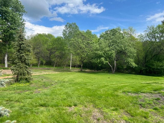 2195 Watertown Rd, Orono, MN 55356 - photo 14