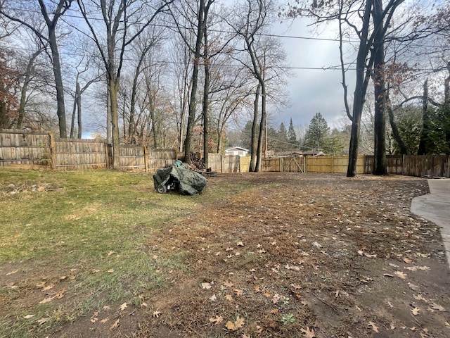 view of yard featuring a fenced backyard