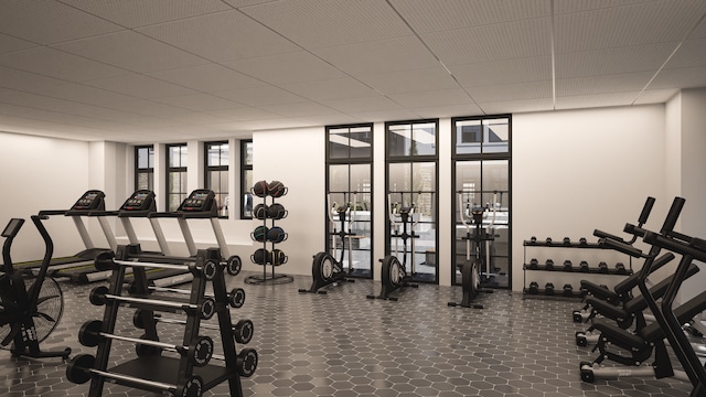9910 Crestwood Ter Unit 2, Eden Prairie, MN 55347 - workout area with a wall of windows and a drop ceiling