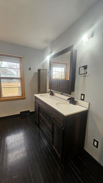 bathroom featuring a healthy amount of sunlight, vanity, and hardwood / wood-style flooring