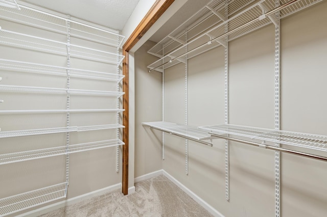 walk in closet with light carpet