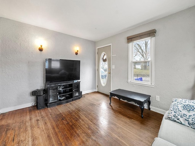 living room with hardwood / wood-style flooring