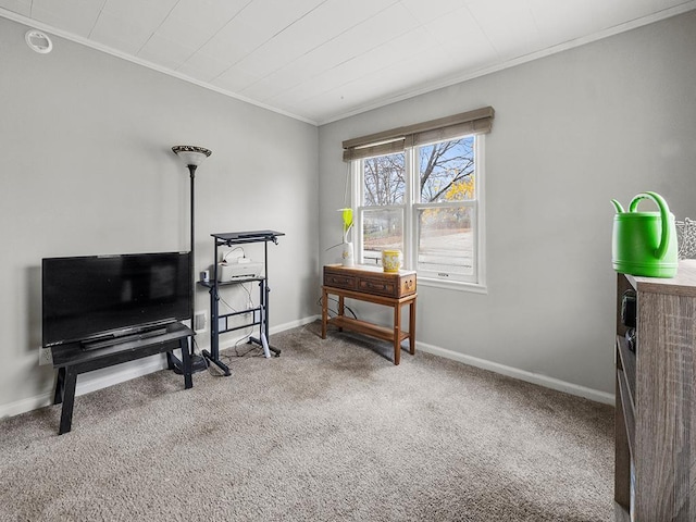 misc room featuring carpet and crown molding