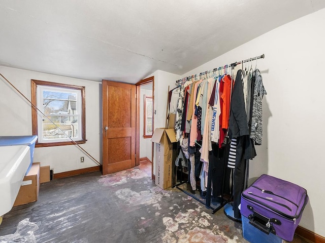 spacious closet with vaulted ceiling