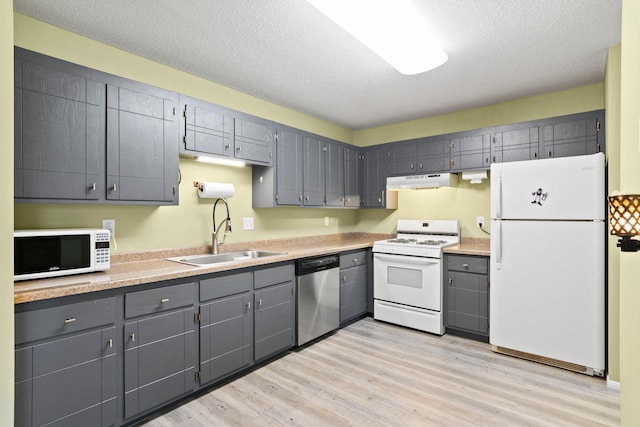 kitchen featuring white appliances, sink, light hardwood / wood-style flooring, and gray cabinets