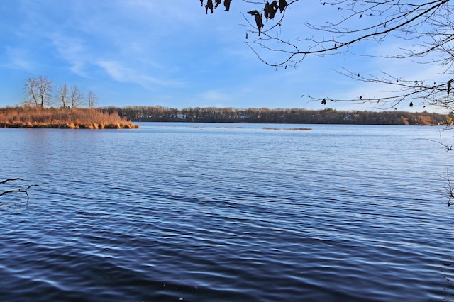 property view of water