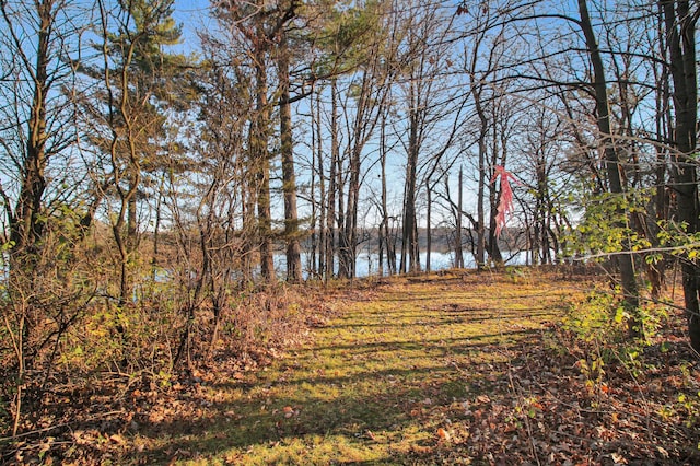 view of yard featuring a water view