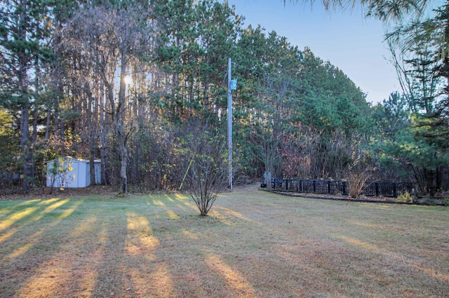 view of yard featuring a storage shed