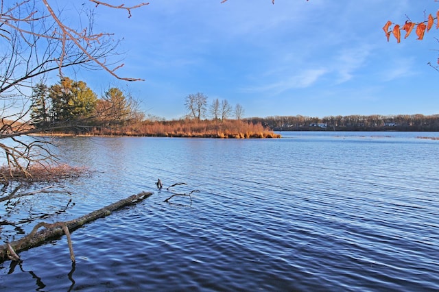 view of water feature