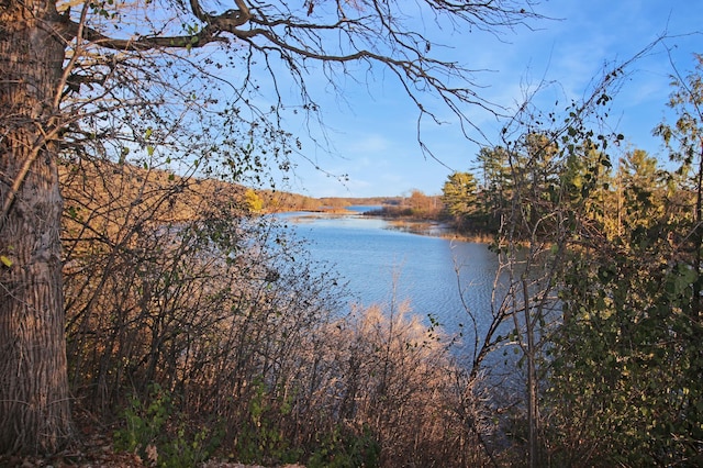 property view of water