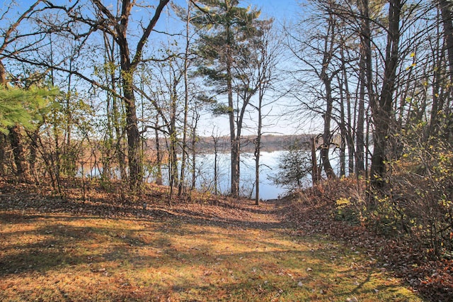 property view of water